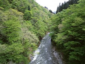岡山駅から徒歩5分のビジネスホテル【東横INN岡山駅西口右】の魅力と詳細情報