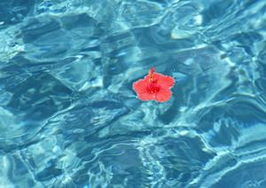 【公式】東横INN和光市駅前｜埼玉県和光市の快適ビジネスホテルと観光拠点