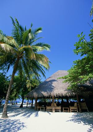 東横INN東大阪｜大阪府東大阪市のビジネスホテル｜予約最安保証＆充実設備